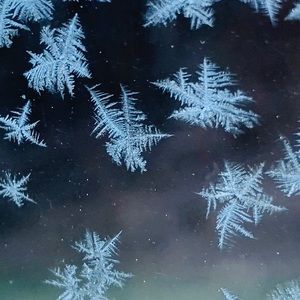 Meet your Posher, Ava